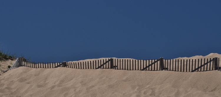 fence and sand